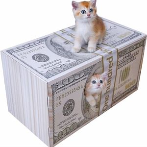 Cat house and scratch pad